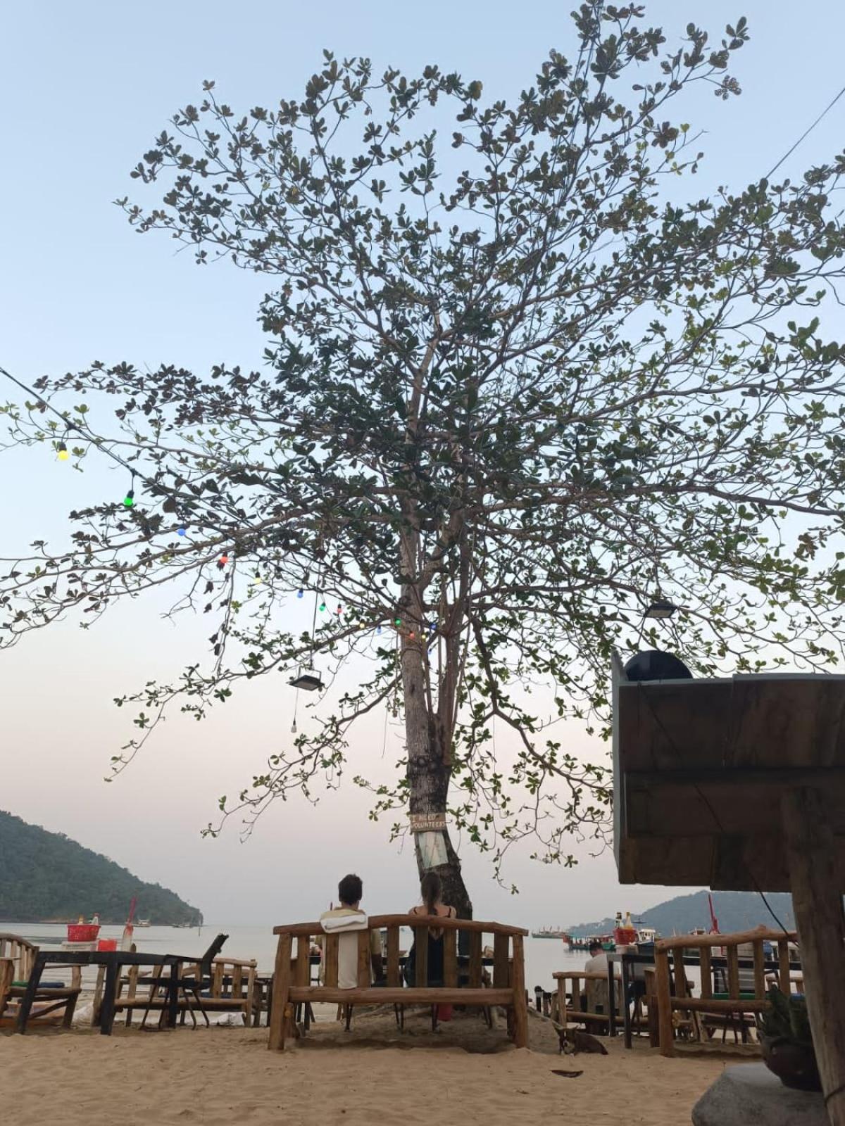 Golden Snake Guesthouse Beach เกาะรงสำลน ภายนอก รูปภาพ